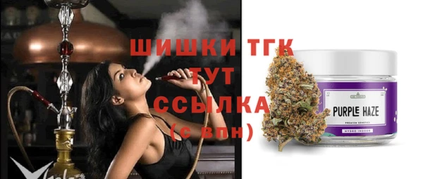 дмт Лабытнанги